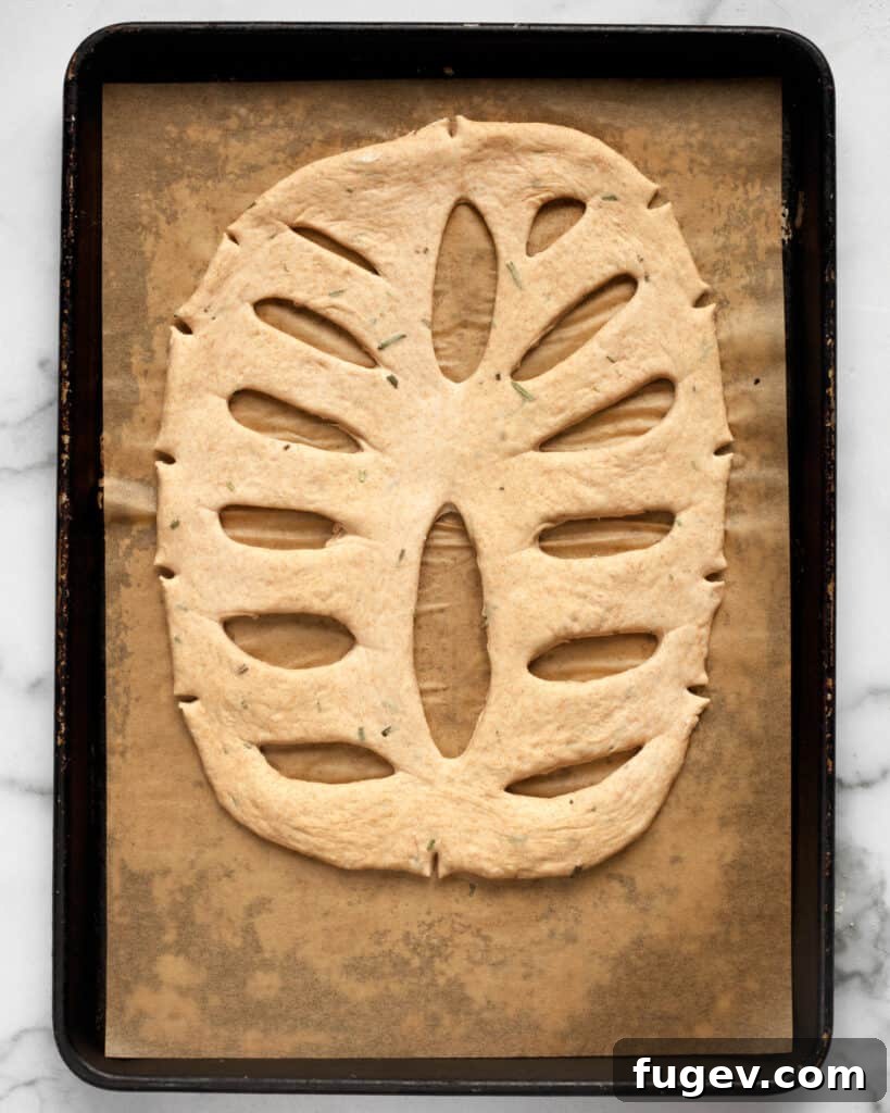 Fragrant Rosemary Fougasse 7 Fully shaped fougasse dough ready for its second rise, showcasing the complete leaf pattern.