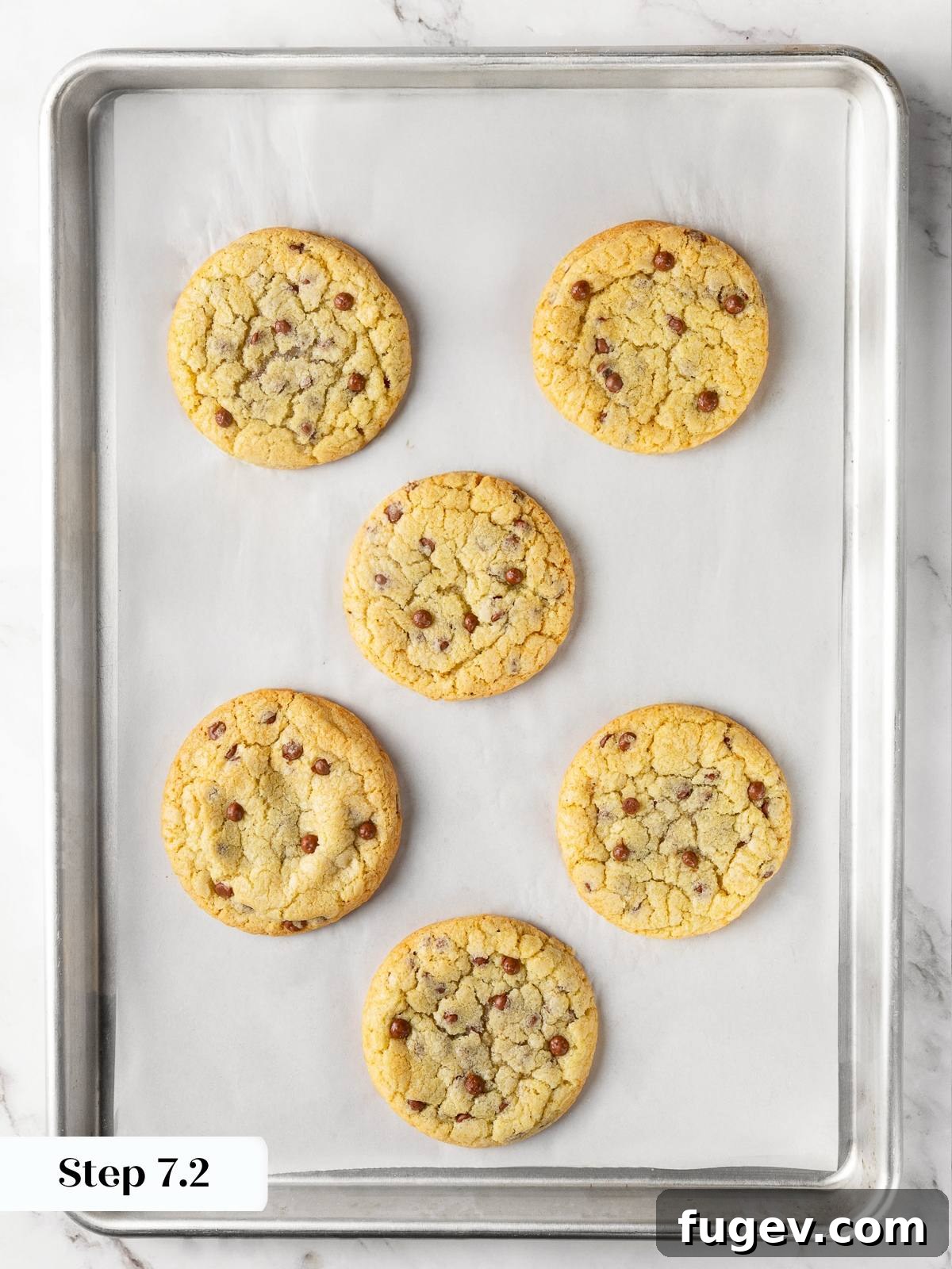 Perfectly baked chocolate chip cookies fresh out of the oven on a baking sheet, with golden edges.