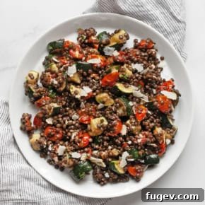 Roasted zucchini tomato lentil salad on a plate.