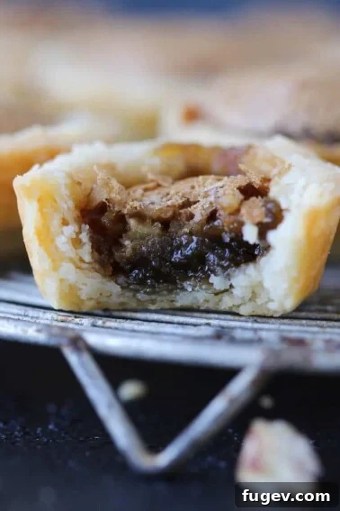 Pecan tassie on a dark background with flaky layered crust.