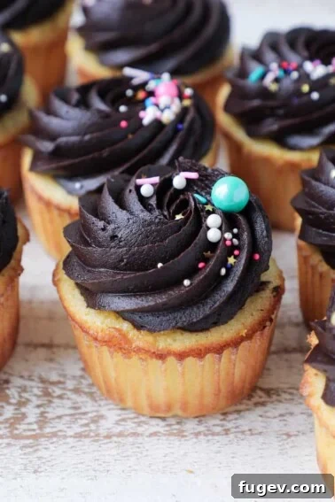 Yellow Cupcakes with Chocolate frosting multi colored sprinkles.
