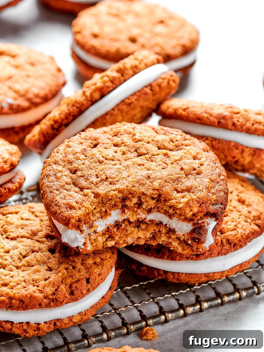 Exposed crumb reveals the lasting, tender chew the raisin paste gives every oatmeal cream pie.