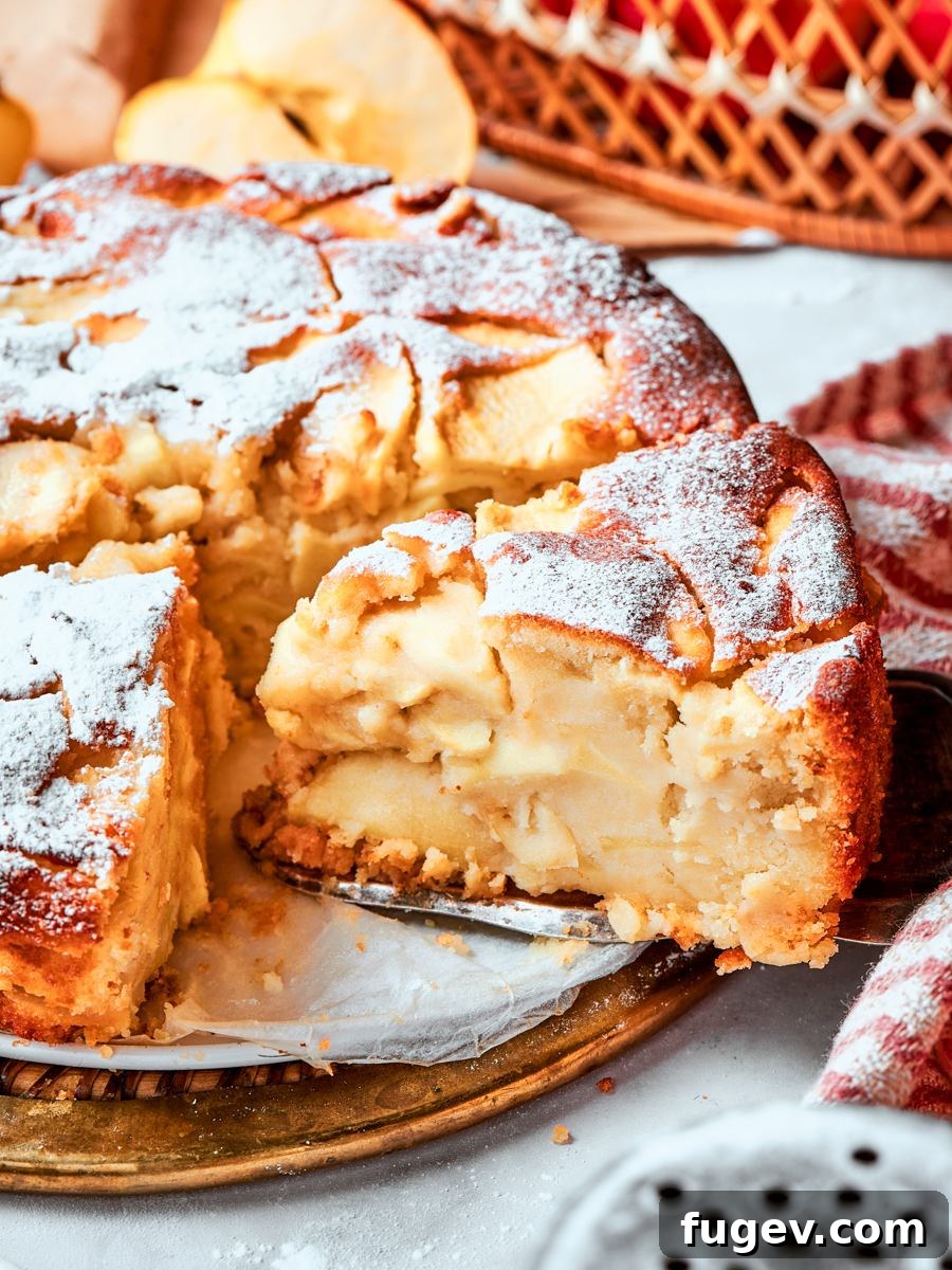 Classic French Apple Cake Recipe 9 Golden top and moist crumb visible together make this slice of french apple cake look irresistible.